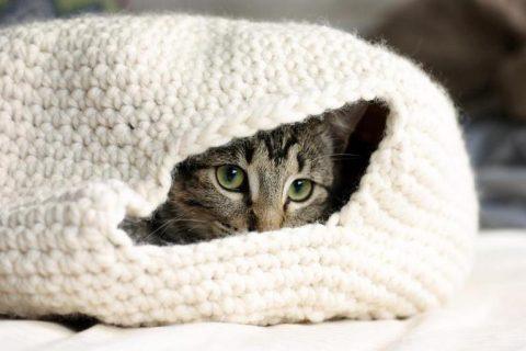 Корзинки для КОТИКОВ крючком