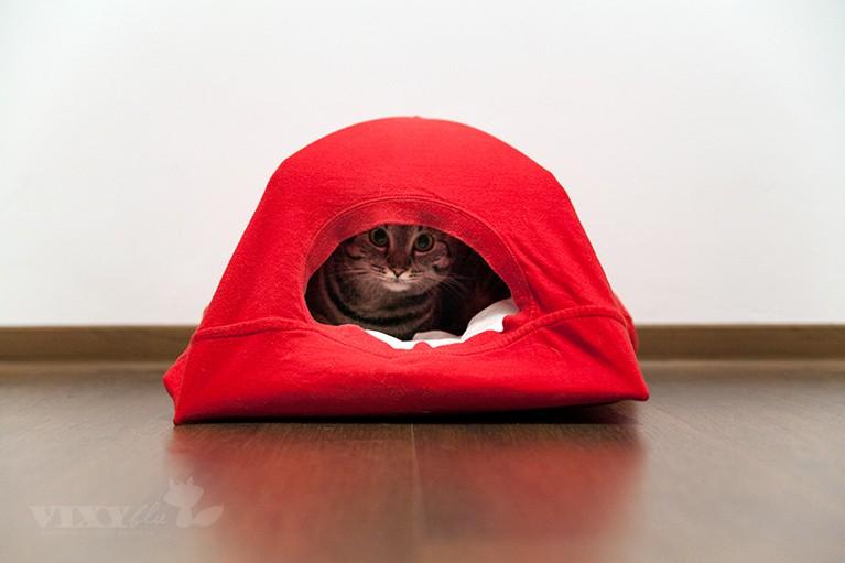 Кошкин дом из футболки. Ваш питомец точно оценит!