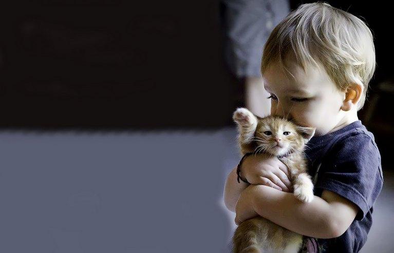 Дети любят котов до смерти! Практически в прямом смысле этого слова!