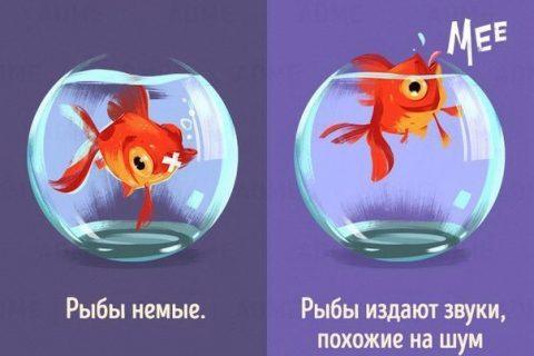 10 МИФОВ о животных, которые мы считаем ПРАВДОЙ! Вы удивитесь