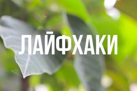 10 простых лайфхаков, которые упростят вашу жизнь.