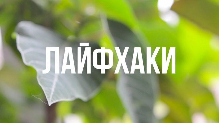 10 простых лайфхаков, которые упростят вашу жизнь.