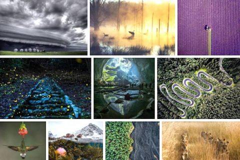Десятка ЛУЧШИХ фотографий ПРИРОДЫ 2017 года по версии National Geographic