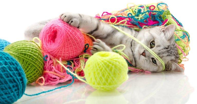 ТОП-20 забавных котят в НИТКАХ, Это их любимая игра!
