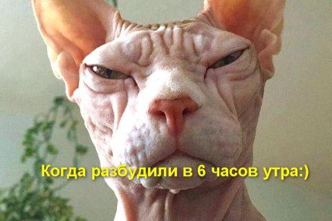 Отменная порция ЮМОРА в студию, не грусти — открой и посмотри!
