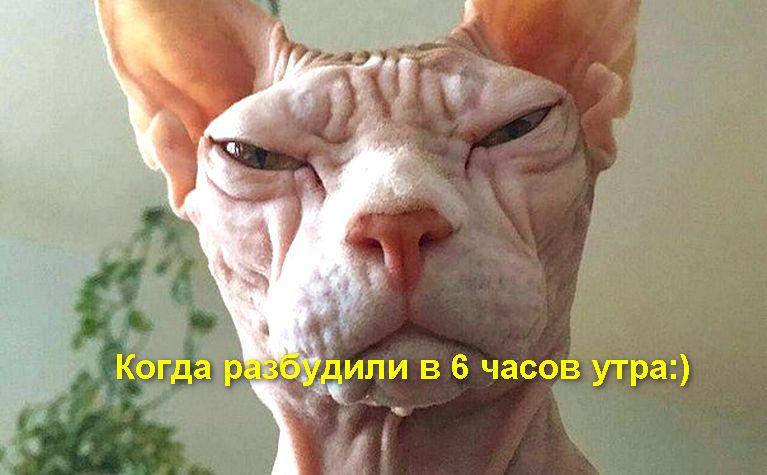 Отменная порция ЮМОРА в студию, не грусти — открой и посмотри!