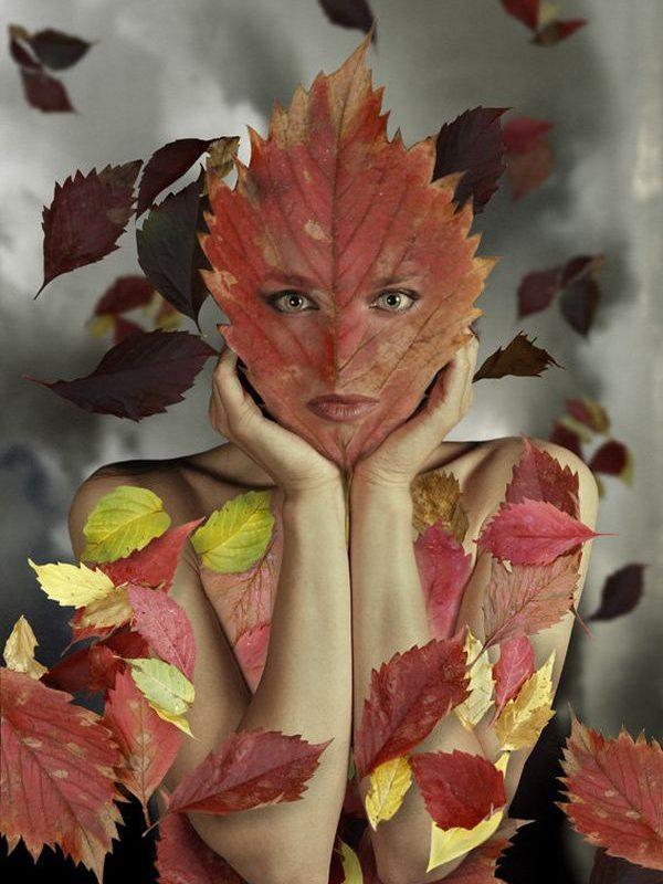 ТОП-смешных и забавных фотографий прямиком из осени!!! Природа сама расставит акценты