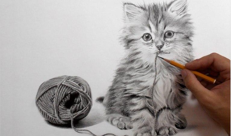 Для этих картин краски не нужны. Они ПРЕКРАСНЫ сами по себе. ТОП картин карандашом