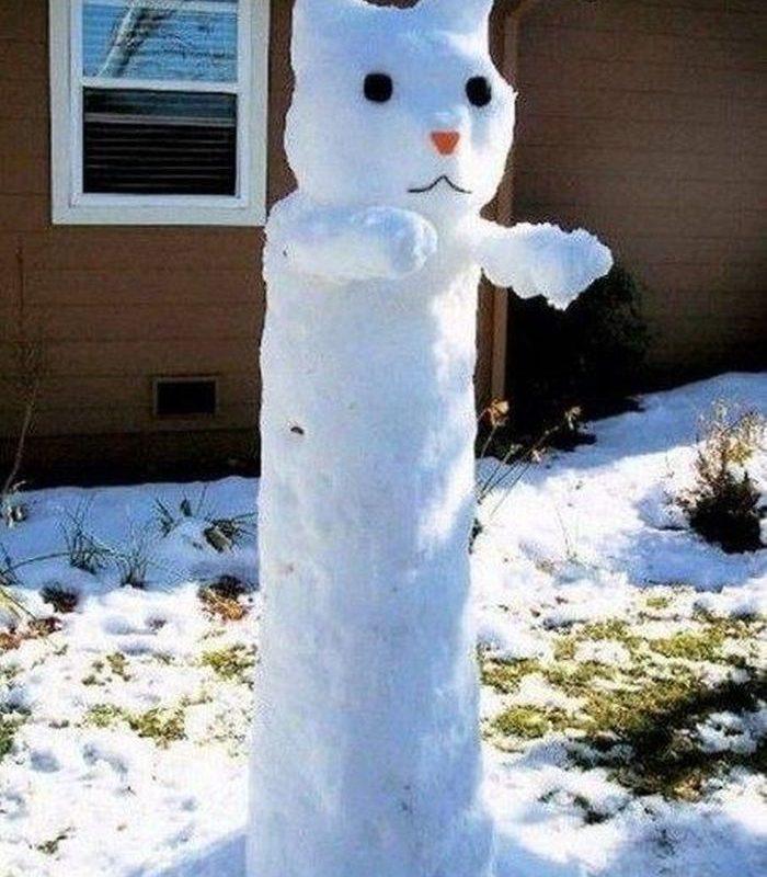 Встречаем зиму. Лучшие снеговики из первого снега!!!