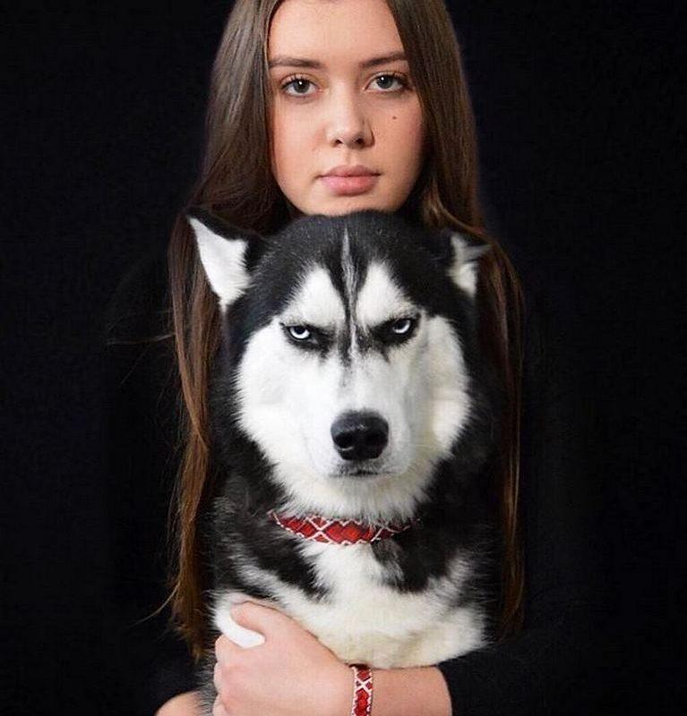 Рождественская фотосессия с ХАСКИ заставит вас улыбнуться