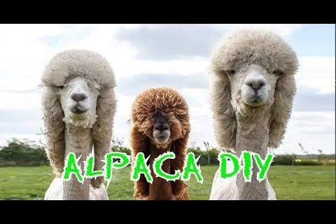 Alpaca diy/альпака оригами 2019 origami