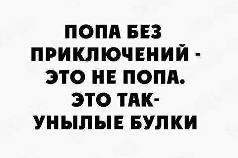 Без приключений не обошлось//В лес//Домашнее Хозяйство