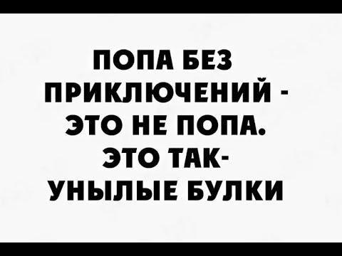 Без приключений не обошлось//В лес//Домашнее Хозяйство