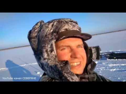 Испытание мотособаки «Бурлак»/зимняя рыбалка