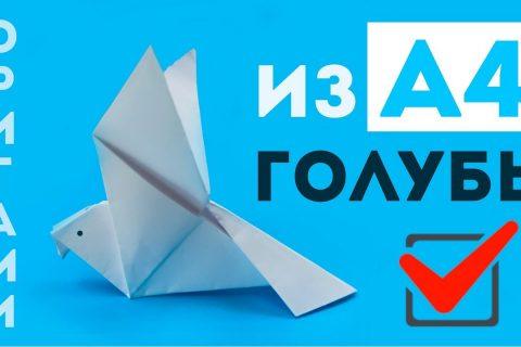 Как сделать голубя из бумаги А4 — простое оригами своими руками — без клея и без ножниц