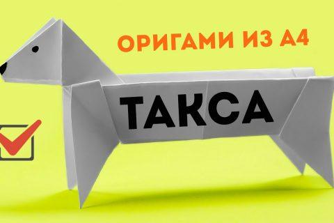 Как сделать собаку ТАКСУ из бумаги А4 — простое оригами своими руками