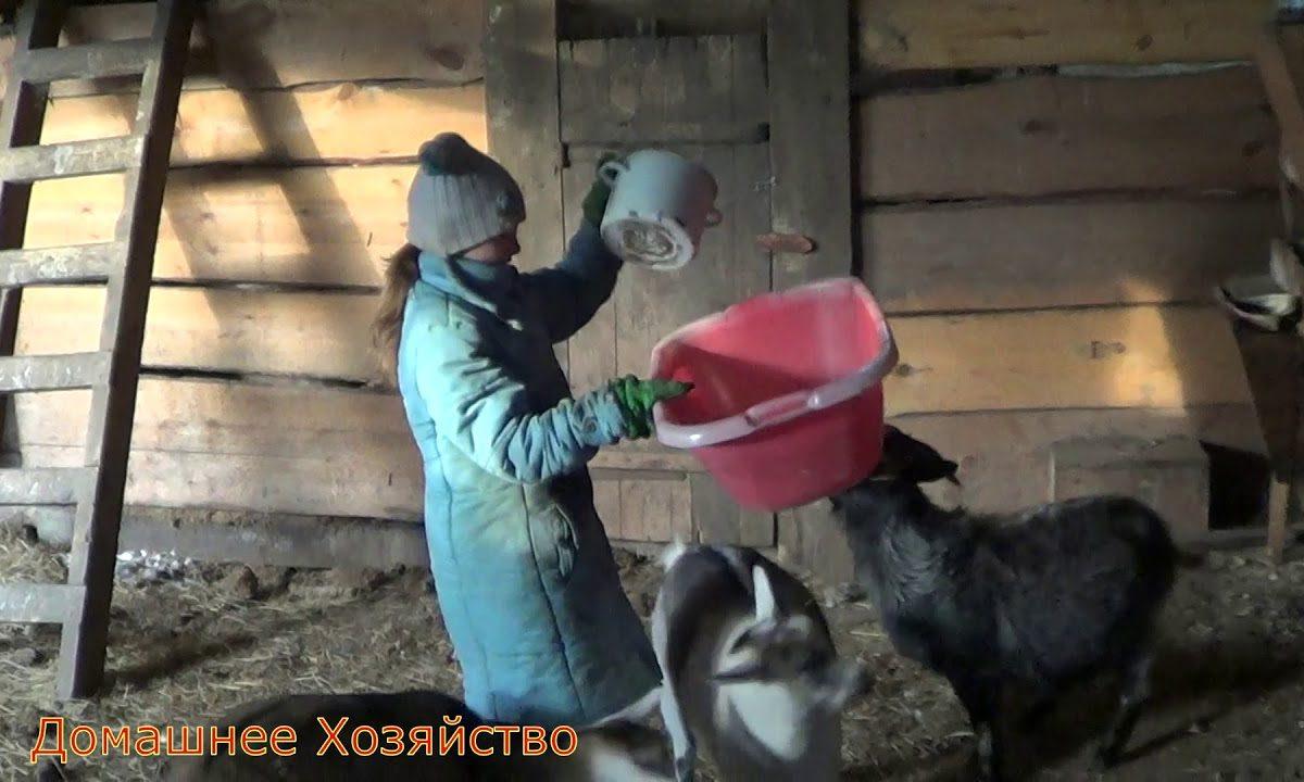 Как в сказке Утро в деревне Домашнее Хозяйство
