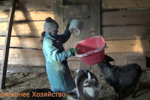 Как в сказке Утро в деревне Домашнее Хозяйство