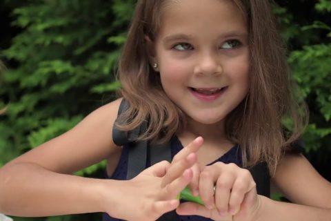 МАССА ДЛЯ ЛЕПКИ ЗАСТЫВАЮЩАЯ ? 12 цветов креатива