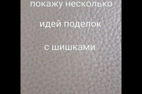 Поделки из шишек .