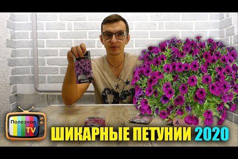 Шикарные петунии которые я буду выращивать в 2020 г от их цветения обалдеют все