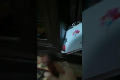 Видео лепка