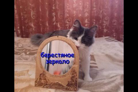 поделки из бересты,рамка для зеркала