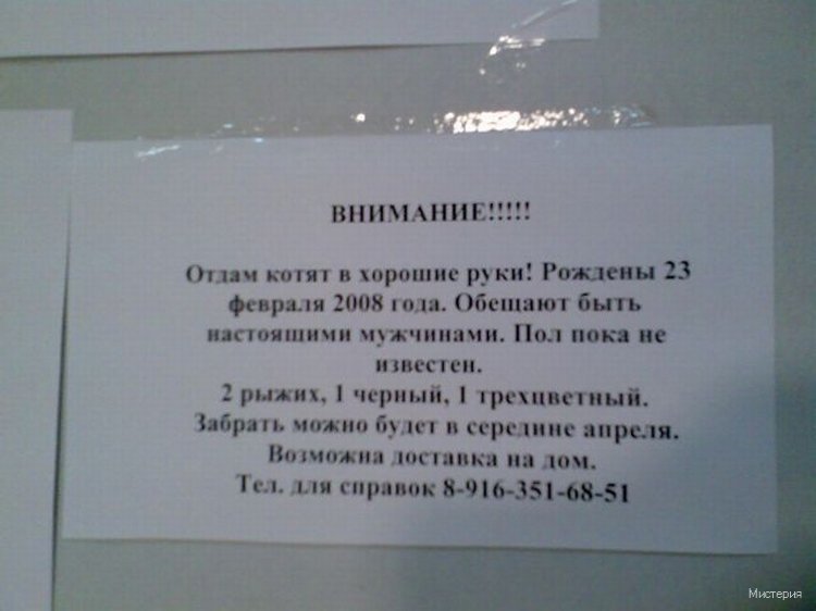Продавать быстрее с юмором! Подборка смешных объявлений, которые не возможно не прочитать