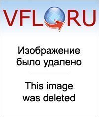Звери на руках? Он создает такие шедевры, которые снимать не хочется