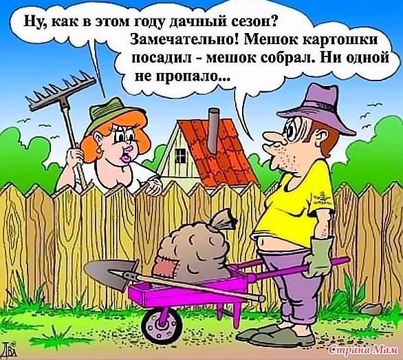 Юмор на дачном участке. Только Вы так никогда не делайте!!!