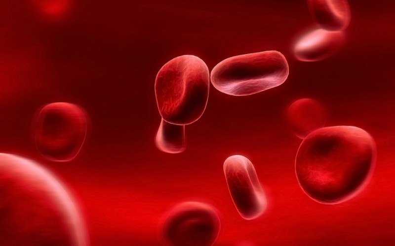 12 удивительных ФАКТОВ о человеке. Об этом не покажут по телевизору