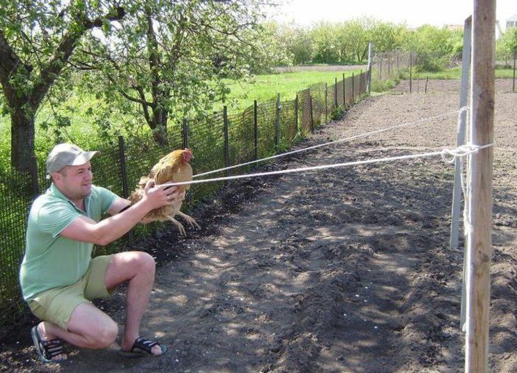 Юмор на дачном участке. Только Вы так никогда не делайте!!!