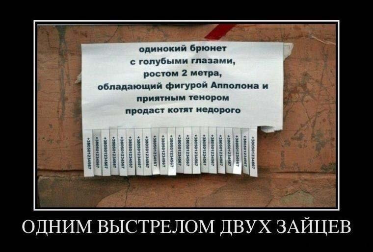 Продавать быстрее с юмором! Подборка смешных объявлений, которые не возможно не прочитать