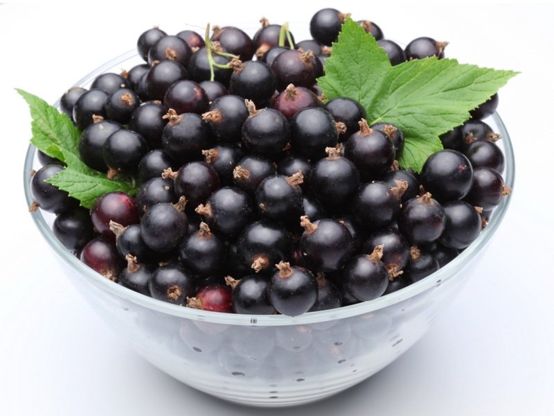 Вкусное МОРОЖЕНОЕ с черной смородиной! Простой рецепт, отличный результат
