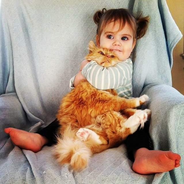 Дети любят котов до смерти! Практически в прямом смысле этого слова!