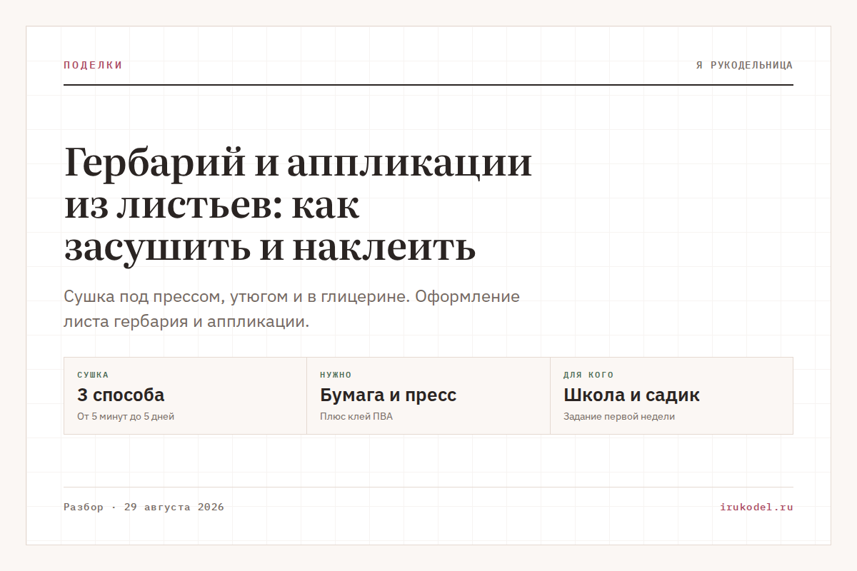 Гербарий и аппликации из листьев: как засушить и наклеить