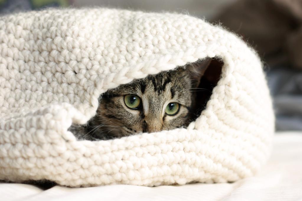Корзинки для КОТИКОВ крючком