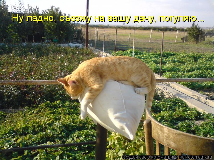Юмор на дачном участке. Только Вы так никогда не делайте!!!
