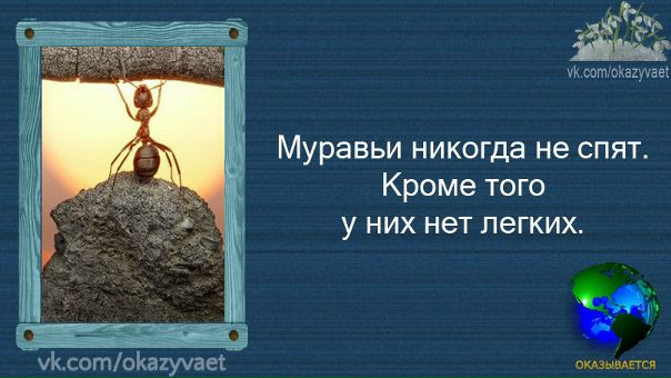 5 ЗАНИМАТЕЛЬНЫХ фактов из мира!!! Спорим, Вы не знали
