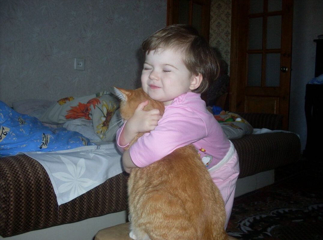 Дети любят котов до смерти! Практически в прямом смысле этого слова!