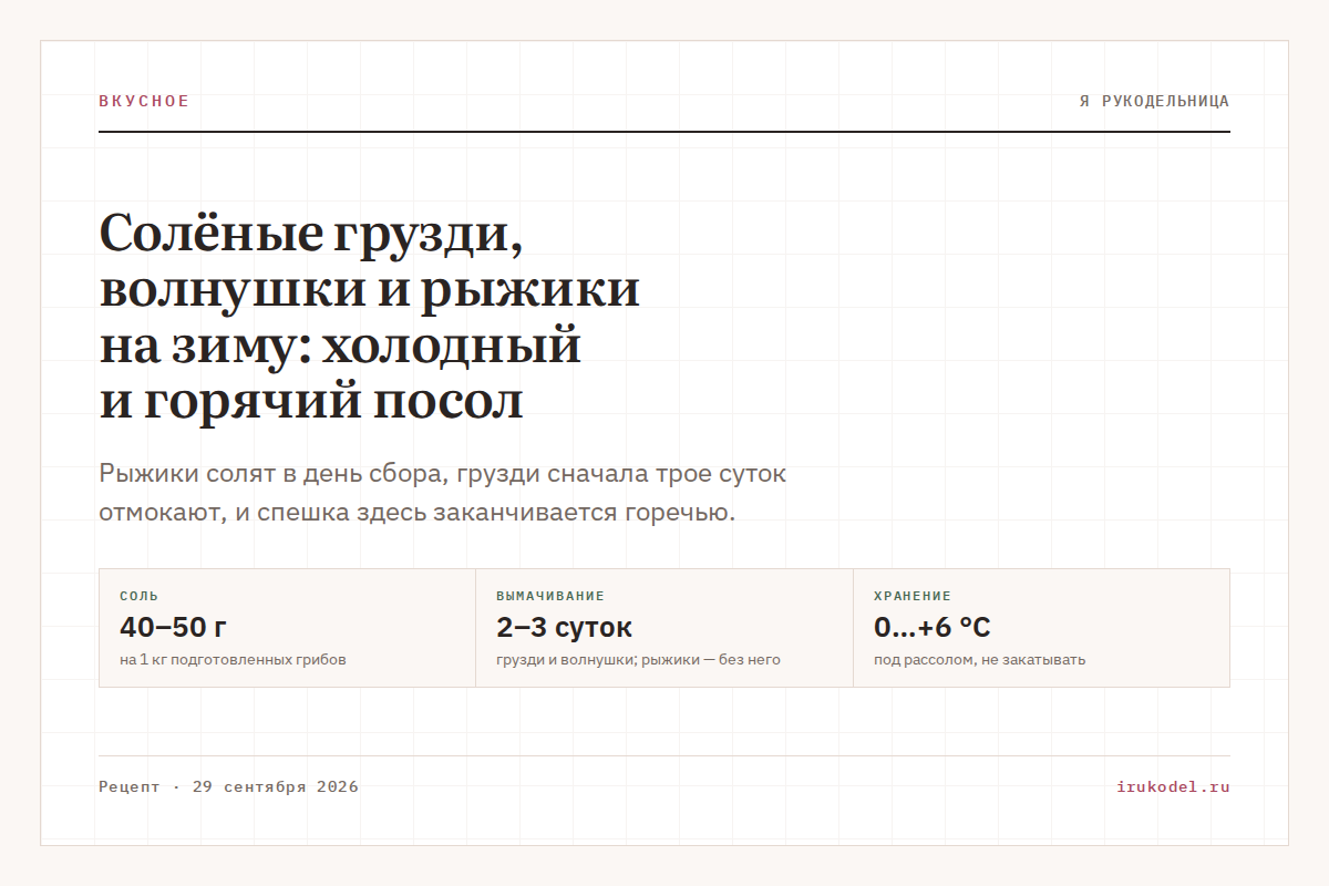 Солёные грузди, волнушки и рыжики на зиму: холодный и горячий посол