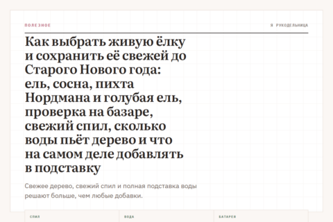 Как выбрать живую ёлку и сохранить её свежей до Старого Нового года: ель, сосна, пихта Нордмана и голубая ель, проверка на базаре, свежий спил, сколько воды пьёт дерево и что на самом деле добавлять в подставку