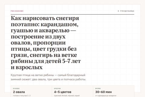 Как нарисовать снегиря поэтапно: карандашом, гуашью и акварелью — построение из двух овалов, пропорции птицы, цвет грудки без грязи, снегирь на ветке рябины для детей 5–7 лет и взрослых